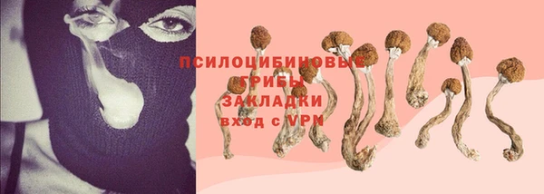 mdpv Мегион