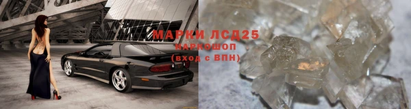 стаф Михайлов
