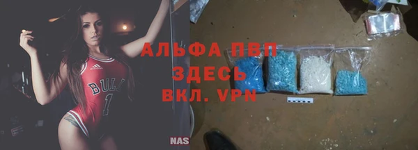 стаф Медвежьегорск