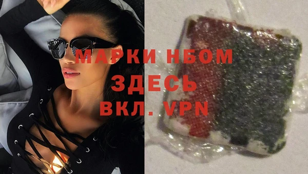 стаф Новый Уренгой