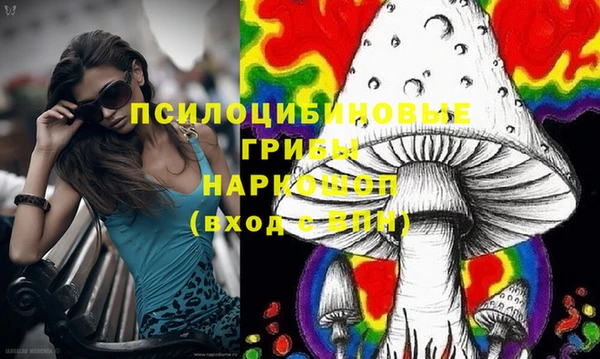 mdpv Мегион