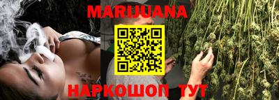 шишки Абакан