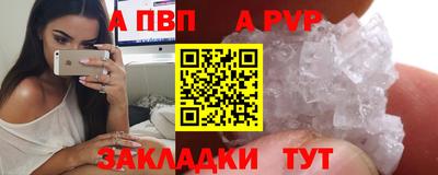 шишки Абакан