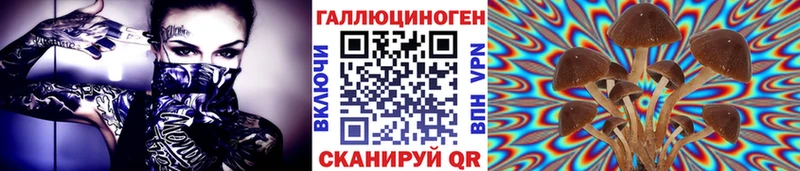 Псилоцибиновые грибы мицелий  купить закладку  Миасс 