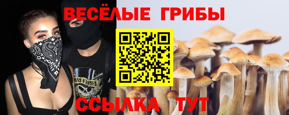 Галлюциногенные грибы Psilocybine cubensis  Вход с VPN  Миасс 