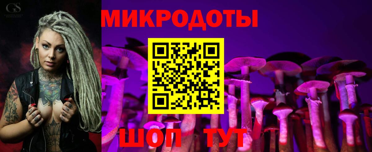Псилоцибиновые грибы мухоморы Миасс